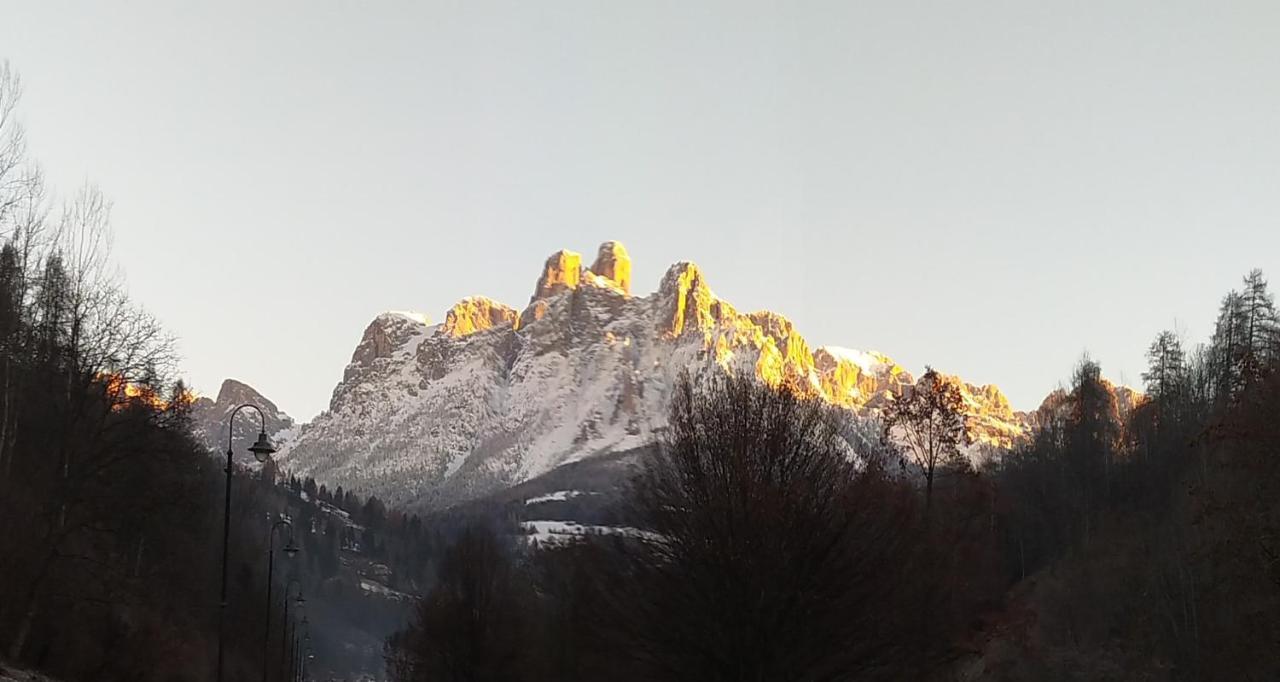 Casa Renzo - Dolomiti - Trentino Daire Mezzano Dış mekan fotoğraf