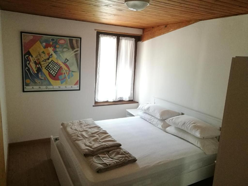 Casa Renzo - Dolomiti - Trentino Daire Mezzano Dış mekan fotoğraf